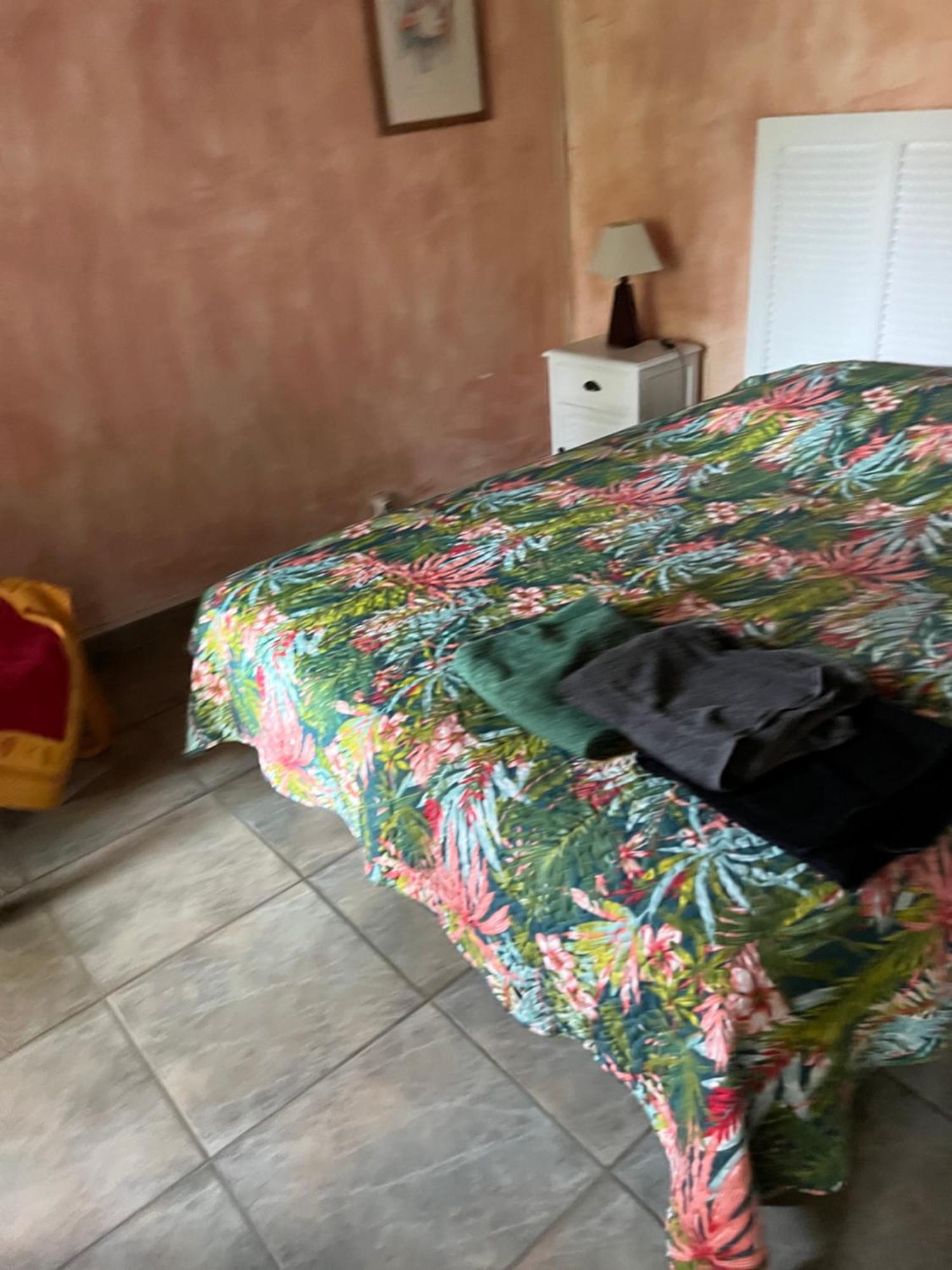 La Maison Sur La Place Aigues-Mortes Dış mekan fotoğraf